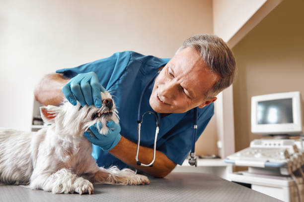 Best 24-Hour Emergency Dentist in Pryor Creek, OK